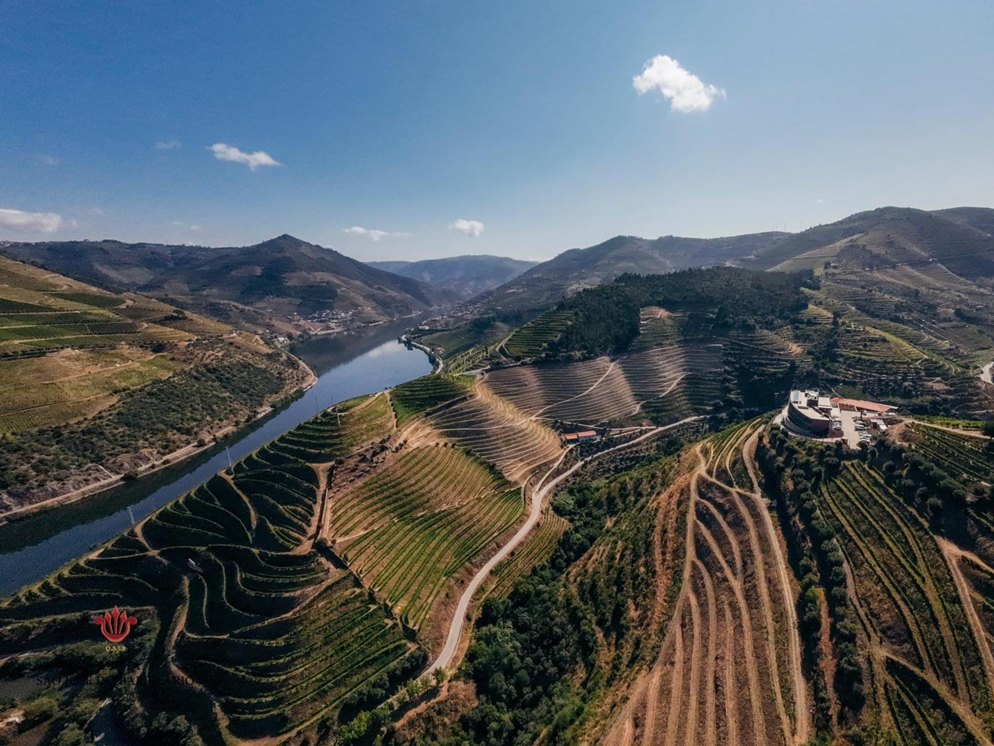 Barrilario Douro Wine Hotel E Spa - Quinta Sao Jose Do Barrilario 阿尔马尔 外观 照片