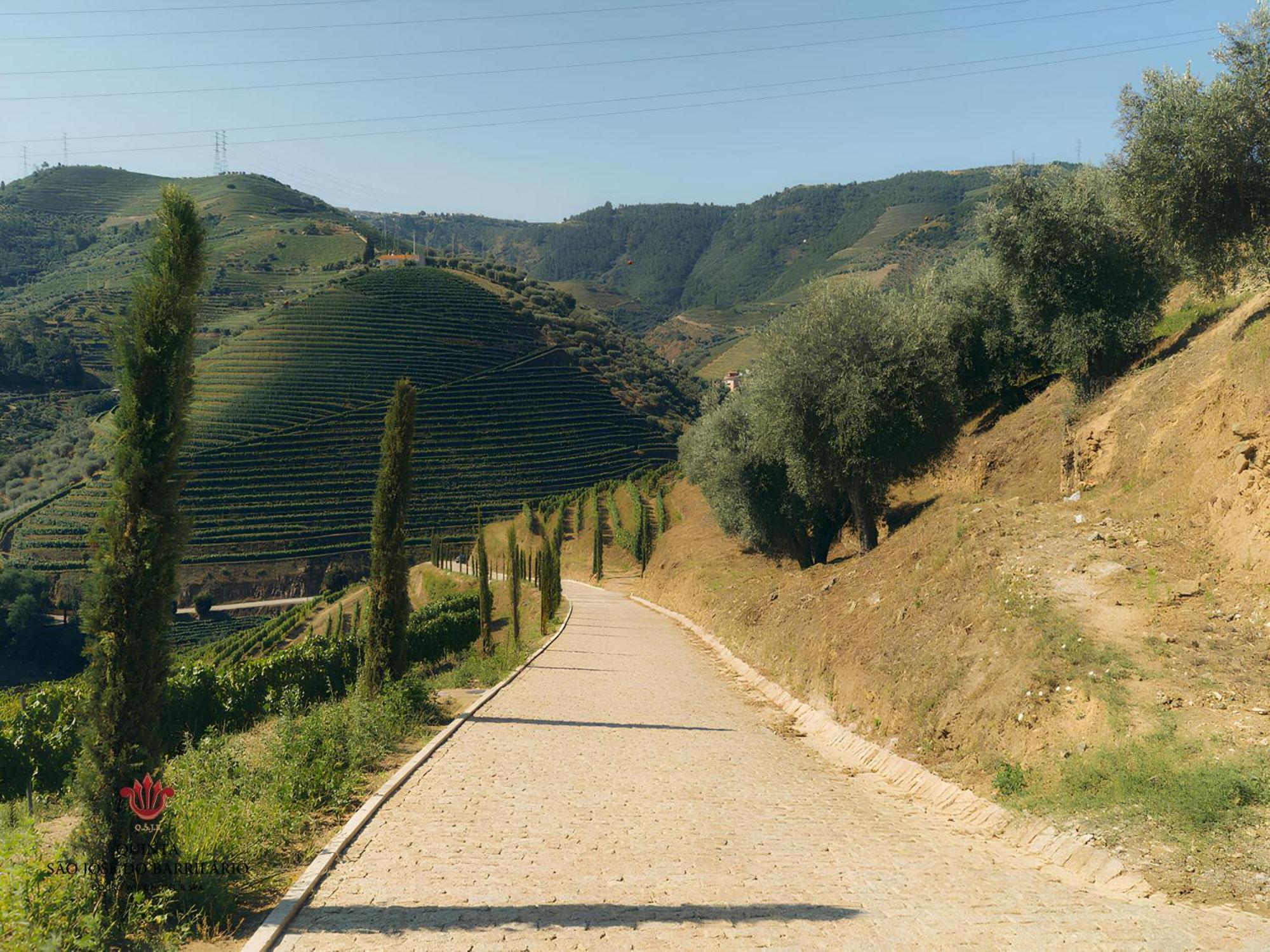 Barrilario Douro Wine Hotel E Spa - Quinta Sao Jose Do Barrilario 阿尔马尔 外观 照片