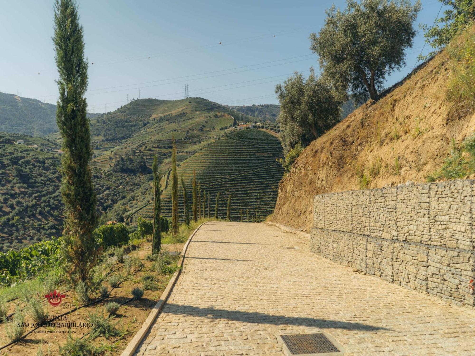 Barrilario Douro Wine Hotel E Spa - Quinta Sao Jose Do Barrilario 阿尔马尔 外观 照片
